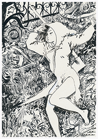 Clique pour agrandir