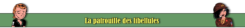 La patrouille des libellules